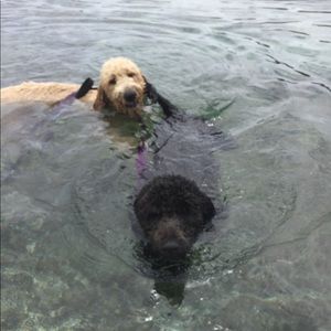 Meet your Posher, Sandra